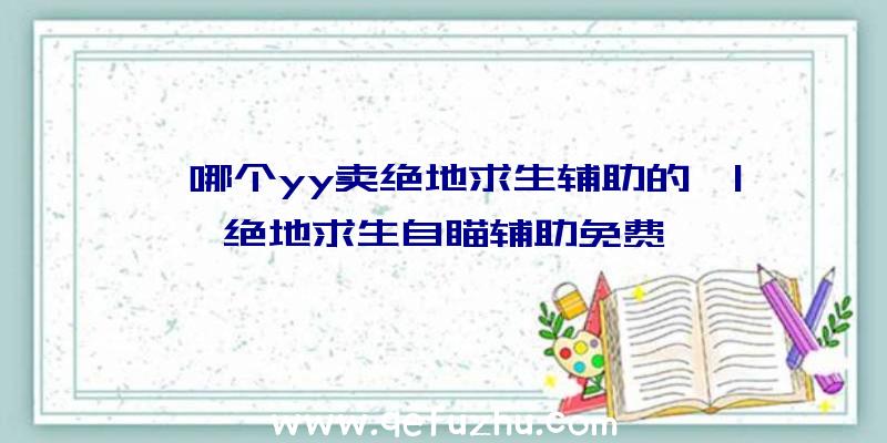 「哪个yy卖绝地求生辅助的」|绝地求生自瞄辅助免费